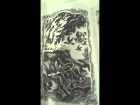 Обзор книги Коты-Воители "Бушующая Стихия"