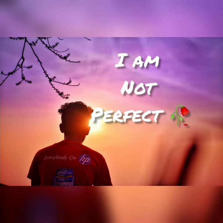 Whatsapp status I am not perfect I am not fake whatsappstatus 