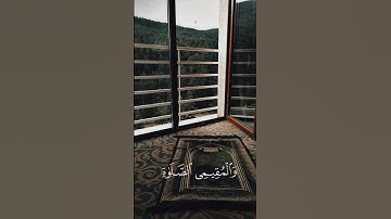 اكتب شيء تؤجر عليه✨| القارئ: ماهر المعيقلي #راحة_نفسية #قرآن #quran #قران #explore
