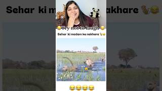 Kitna ganda pani hai 🐒#funnyvideo #comedy #reaction #petshorts #monkey #wildanimals #memes #cute