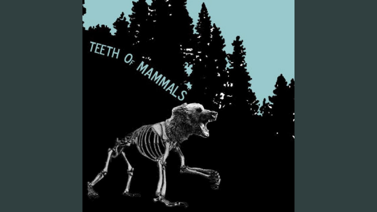 Pockets As Deep As the Sea