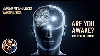 Are You Truly Awake A Guide to Self-Discovery | Welcome to Awakefulness