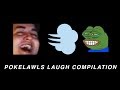 Youtube Thumbnail Pokelawls but its him laughing for 14 minutes