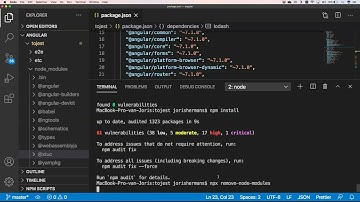 Node.js, how to solve vulnerability issues?