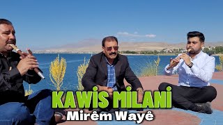 Kawis Milani - Mirem Waye - Şex Seid  - Acıklı Ağlatan Uzun Hava Resimi