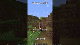 These Arrows Deal No Damage In Minecraft!