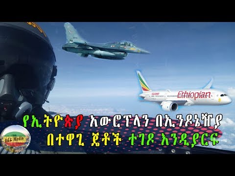 ቪዲዮ: ሞርተን ሀርኬት: የህይወት ታሪክ, ፈጠራ, ሙያ, የግል ሕይወት