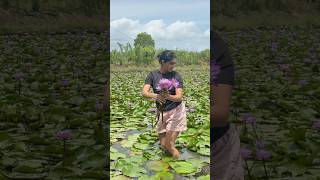 Nayotha නශපදන හදනන අප වතත මල වලනම තමය..Nayotha. Fb Page එක Products Details තයනව.