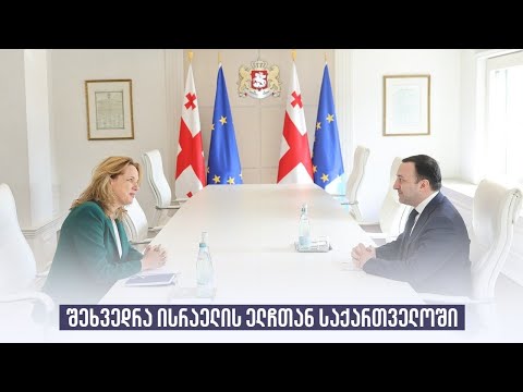 შეხვედრა ისრაელის ელჩთან საქართველოში