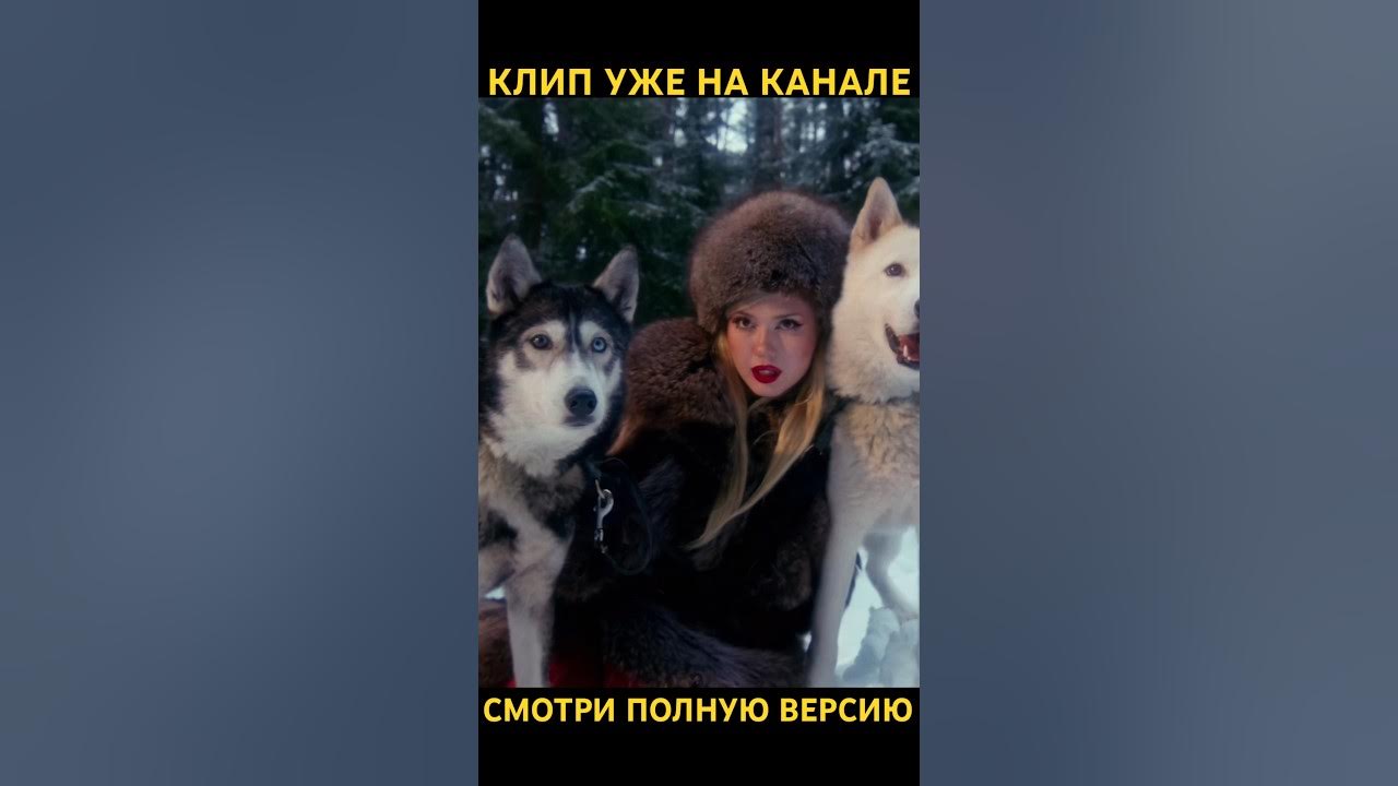 Dead blonde снег растаял клип