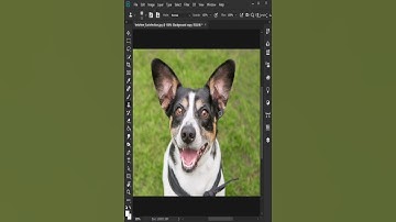 How to Reverse Clone in Photoshop #photoshop #tutorial #shorts #photography #photoediting #reverse