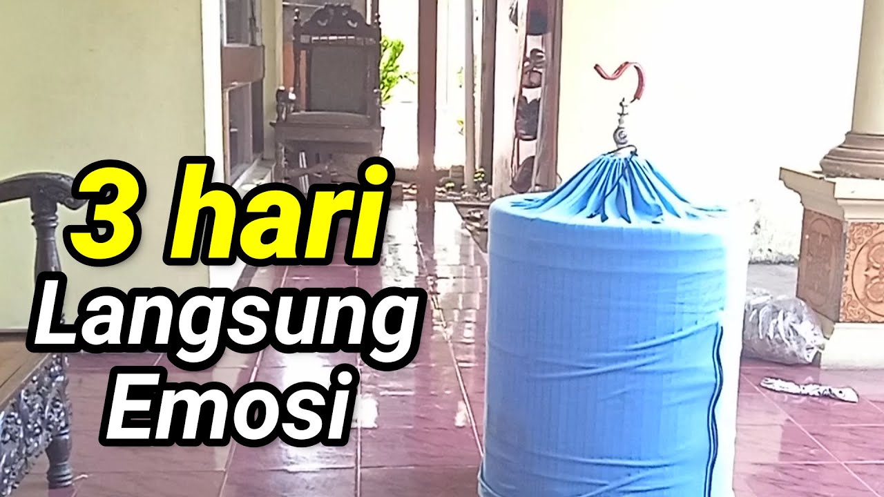 ternyata respon emosinya udah ada penignkatan!! part 2