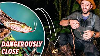 I Almost Sat on a Deadly Snake!