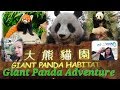 Giant Panda Adventure in Ocean Park Hongkong 2019 (Part 3) | CriZ Adaptar
