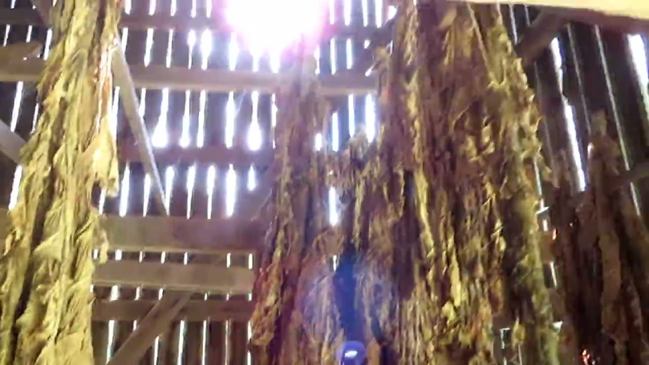 tobacco barn union city tn Exploring an Old on the Natchez Trace Parkway, Franklin County Tobacco Barns |