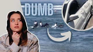 Crazy Equestrian Rides Horse Into The Ocean & Later Gets Hit By Car...  | Raleigh Reacts