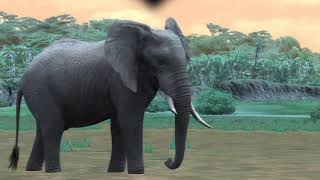 MEGA64 TV - Safari Bumper