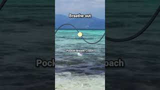 Guided Breathing: 1-to-1 ratio | 5.5 Breaths Per Minute