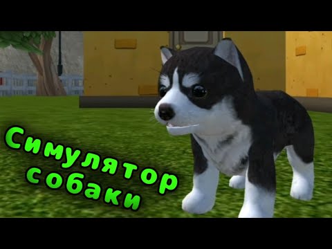 Dog simulator - animal life | Играем в симулятор собаки