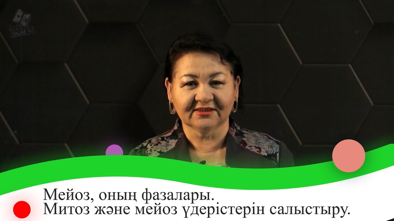 Мейоз, оны? фазалары. Митоз ж?не мейоз ?дерістерін салыстыру. 9 сынып ...