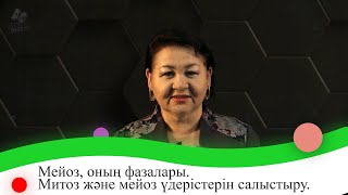 видео: Мейоз, оның фазалары. Митоз және мейоз үдерістерін салыстыру. 9 сынып. картинка: Мейоз, оның фазалары. Митоз және мейоз үдерістерін салыстыру. 9 сынып.