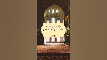 سورة القيامة بصوت القارئ جعفر السعدي 🤍✨ #قرآن #قران_كريم #راحة_نفسية #القرآن_الكريم #إسلام