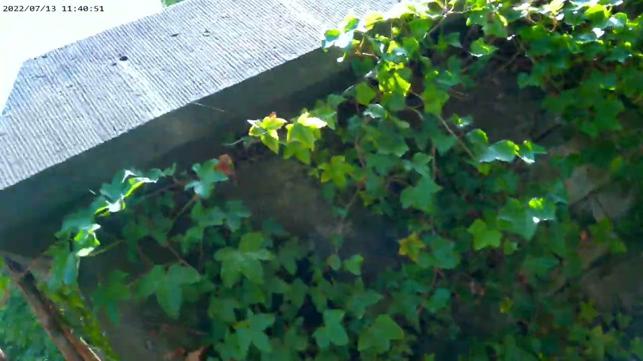 THE BIDSTON OBSERVATORY