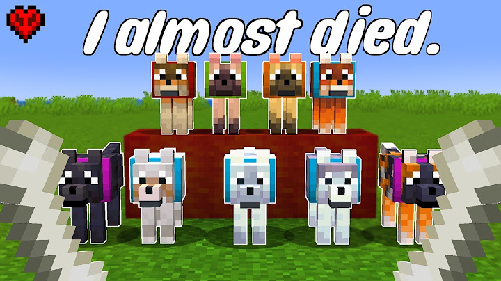 I found every hecking dog in Minecraft Hardcore