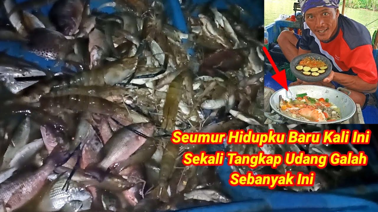 Sepesial Malam Tahun Baru!! Pasang Perangkap Hasilnya Langsung Masak Sup Ikan Kerapu Udang Galah