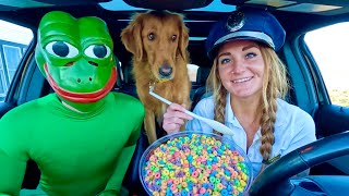 Rubber Ducky Surprises Puppy & Frog With Car Ride Chase
