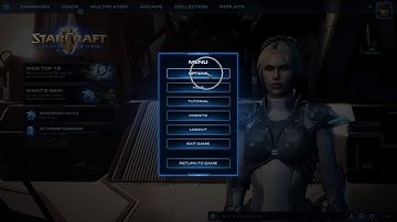 How To Enable Select All Larvae In StarCraft II