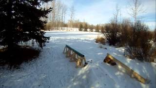 2011-2012 Backyard Edit