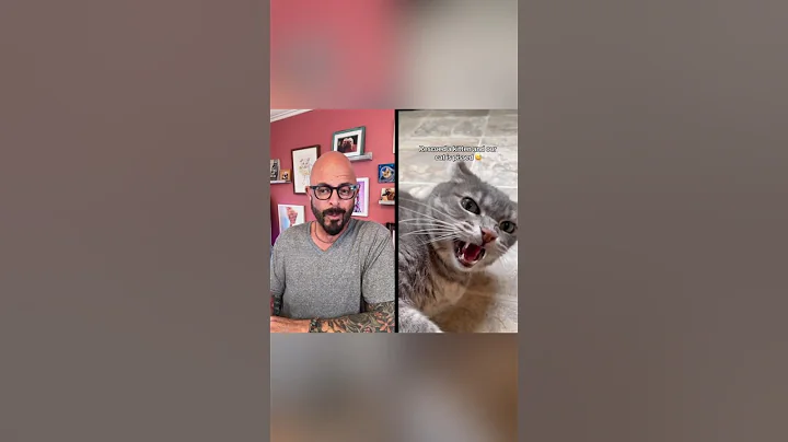 Introducing a new cat or kitten? Check out my videos! #cats #introduction