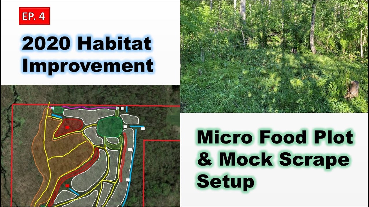 2020 Habitat Improvement Ep.4 - Micro Food Plot & Mock Scrape Setup ...