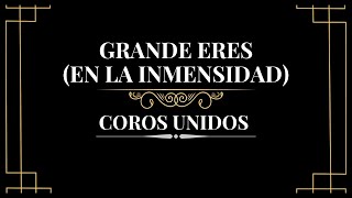 Video thumbnail of "Grande eres (En la inmensidad) - Coros Unidos"