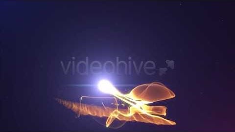 Particles String Reveal | After Effects (AE) Template VideoHive | 19847324