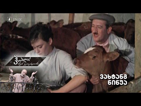 ჰოპლა ჩვენ ვცოცხლობთ! ვახტანგ ნინუა