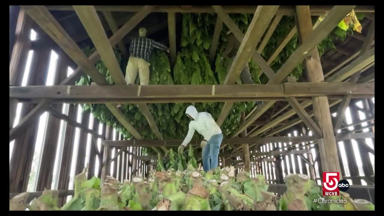 investing in tobacco stocks 3 Tobacco Stocks to Watch on Rising RRPs Demand & Pricing Gains