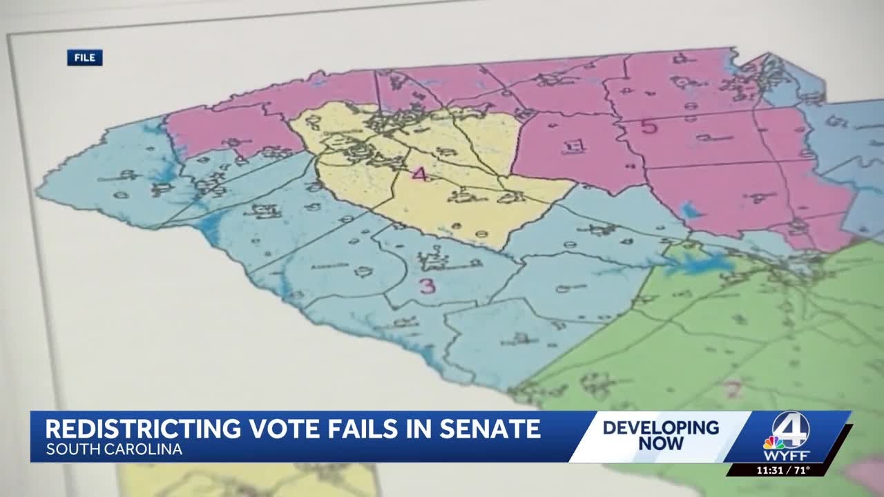 South Carolina Senate rejects Trump-backed push to redraw congressional  districts