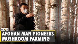 Rasool Rezaie Reinvents Himself As A Mushroom Farmer In Kabul  World News  Wion