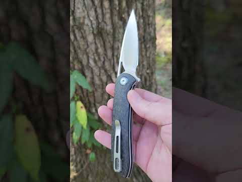 Trivisa SGR-05 for Flipper Friday!   