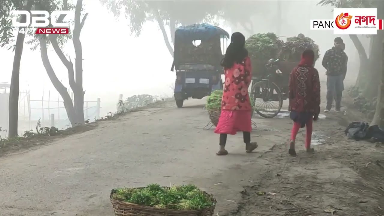 Mild coldwave sweeping over Northern Bangladesh | DBC NEWS