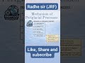 MECHANISM OF PERIGLACIAL PROCESSES|GEOMORPHOLOGY|RADHE SIR (JRF) #earthscience
