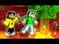 MINECRAFT MA SIAMO BLOCCATI NEL NETHER!