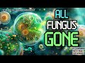 TOTAL PATHOGEN PURGE Eliminate Fungal Infections Harmful Bacteria Yeast Viruses FAST
