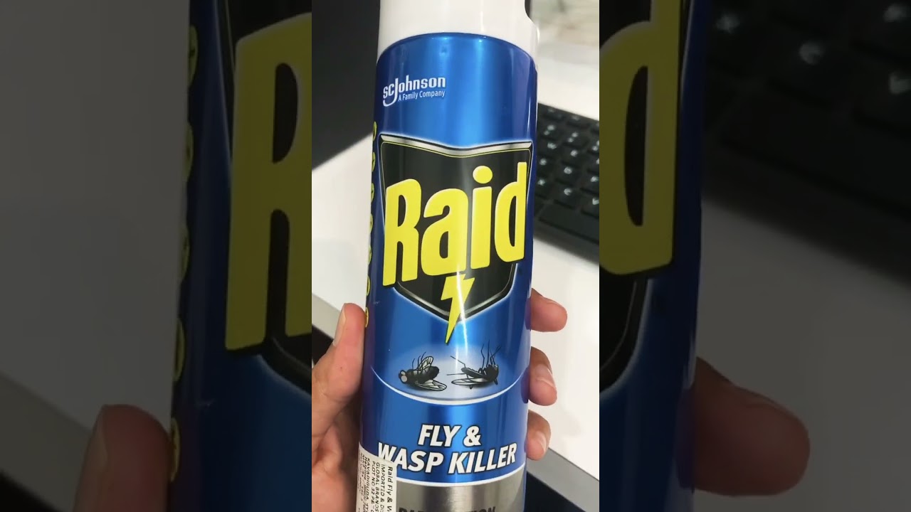 Raid Flying Insect Spray 