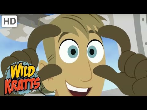 Wild Kratts - Amazing Animals With Special Features | Kids Videos