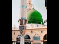 یا رسول الله به وصلت عاشق وشیدایم زار وبینوایم زار وبی نوا 