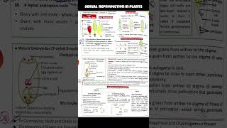 LN SEXUAL REPRODUCTION IN PLANTS short notes 🤫🤫🤫🤫 | padhle chote | #neet #biology #study #viral