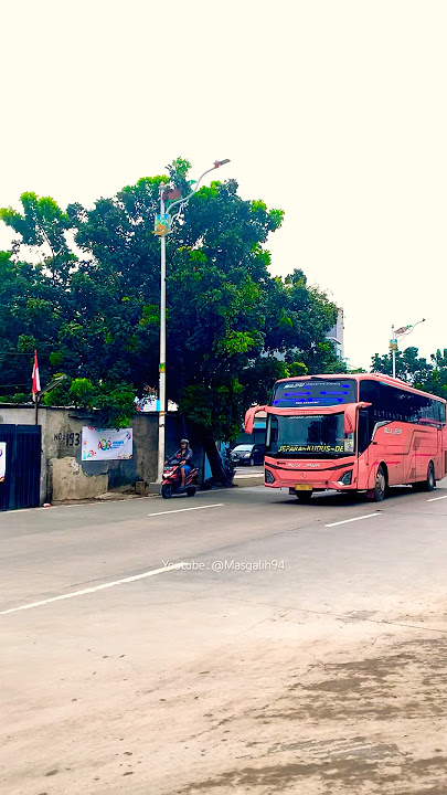 BAHTERA CINTA ‼️ nada basuri yang lagi viral 😃 #basuri #busmaniacomunity #trending #shorts